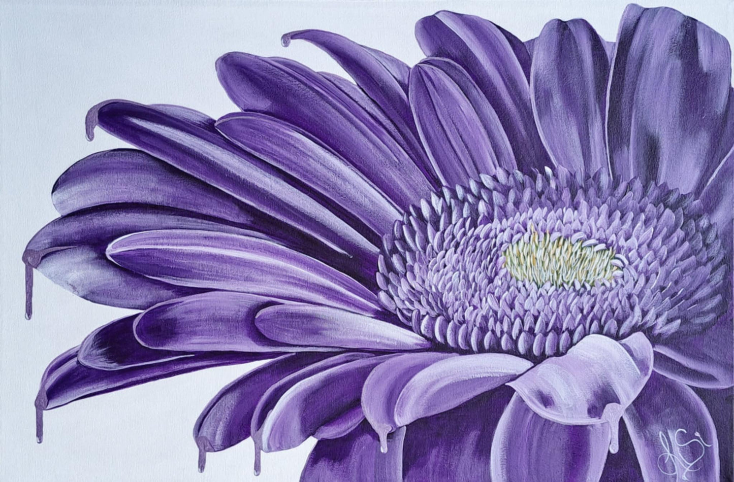 Gerbera violet – Fleur envoûtante et éclats oniriques sur toile
