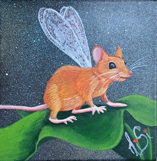 🐭 La souris-bellule