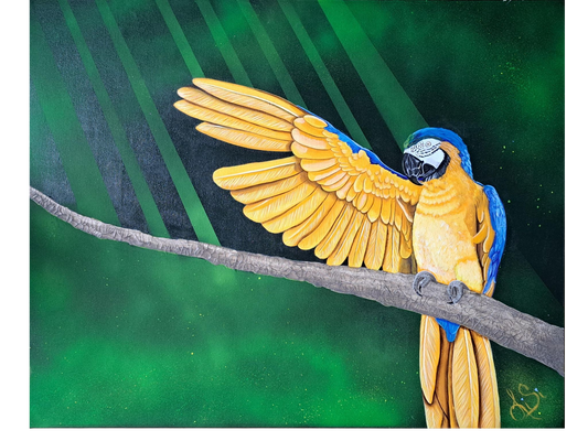 Le maître de cérémonie - Ara bleu majestueux – Oeuvre d’un perroquet aux ailes déployées