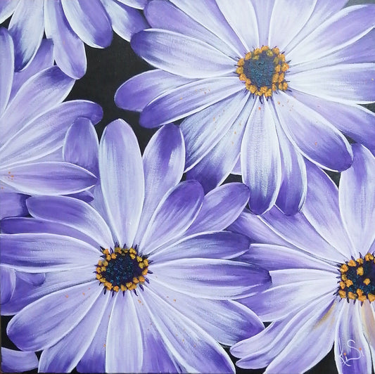 Marguerite en mauve